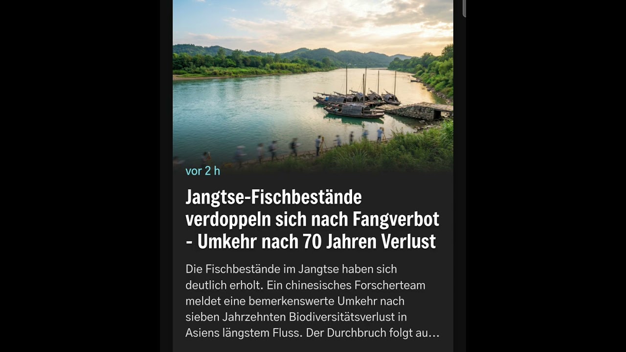 Der Fisch-Code (NUN) 🐟🇨🇳
