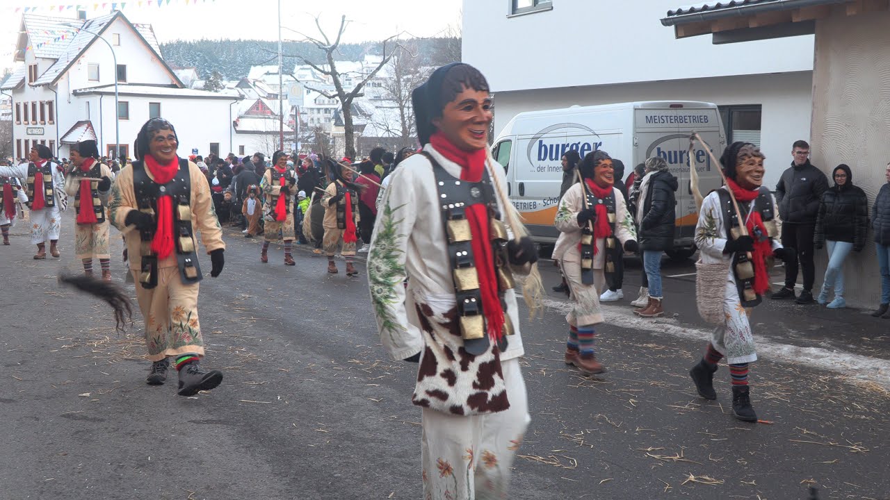 Fasnet, Narrentreffen in Schonach Teil3