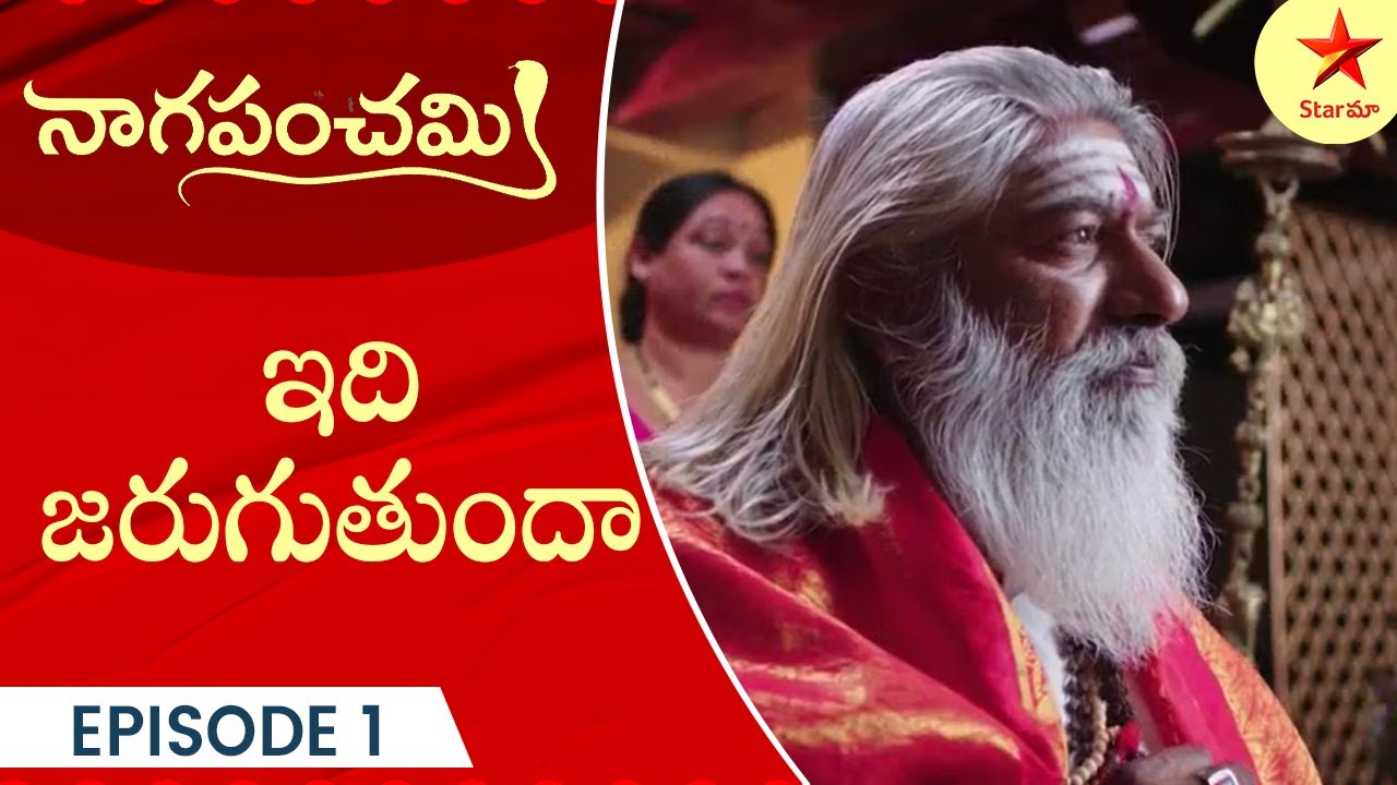 Naga Panchami - Episode 1 Highlight 4 | Telugu Serial | StarMaa Serials | Star Maa