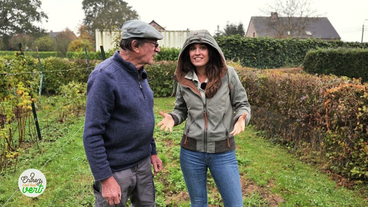 Comment éloigner les campagnols de nos plantations ?