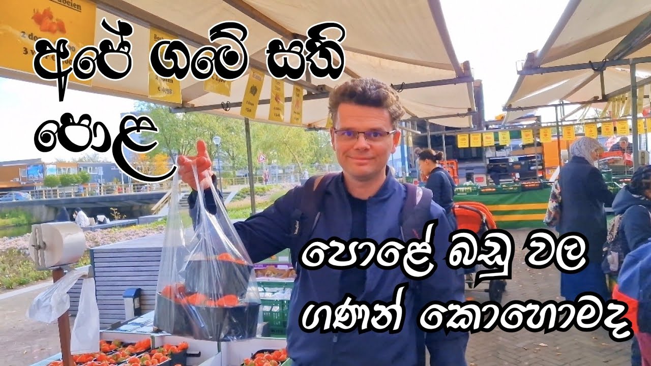 අපේ ගමේ සති පොළ - Dutch market