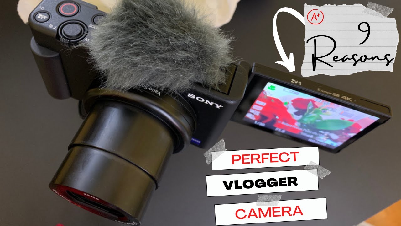 9 REAL Reasons to BUY the Sony ZV-1 in 2021 | #BestVloggingCamera | PROs List | livinglikelee