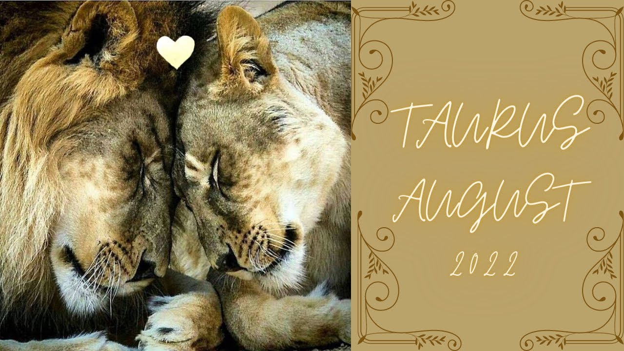TAURUS~❤️ Everything U Could Have Ever Dreamed Of Is Knocking At Your Door🥲 Divine Love Is Here 😇