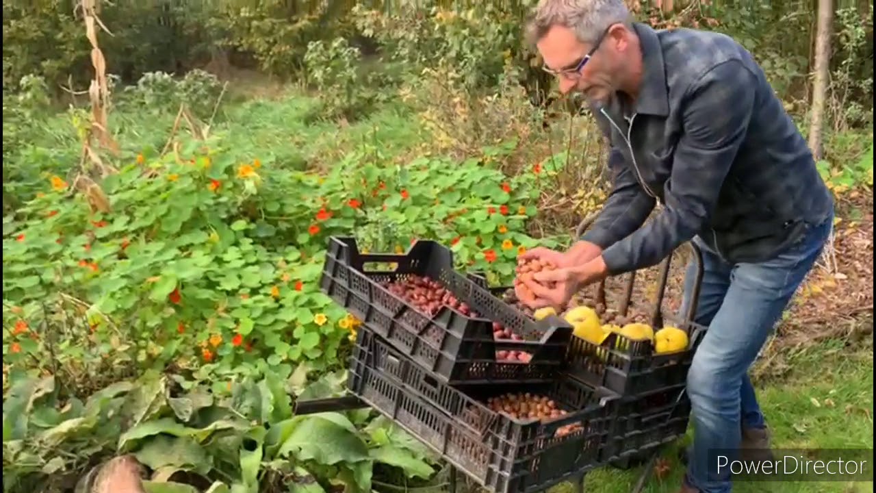 Voedselbos en plukroute Ettenleur