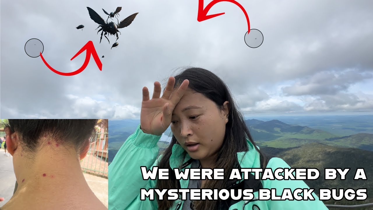 The place is heavenly beautiful but we were attacked || Whiteface Mountain || Know before you go ||