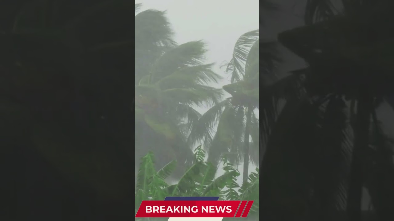 Pregnant Woman Carried On JCB In Flood Hit Madhya Pradesh District #Flood #MP #Woman #shorts