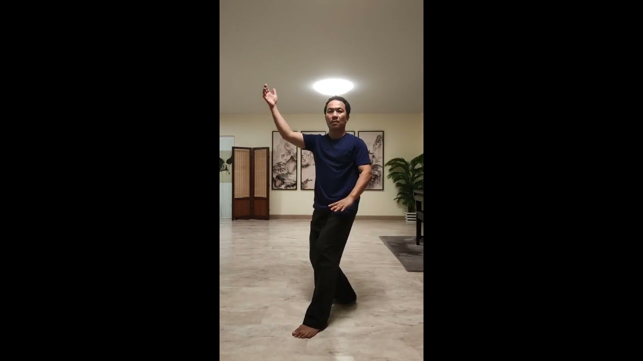 Yang Taiji Small Frame (Xiao Jia)
