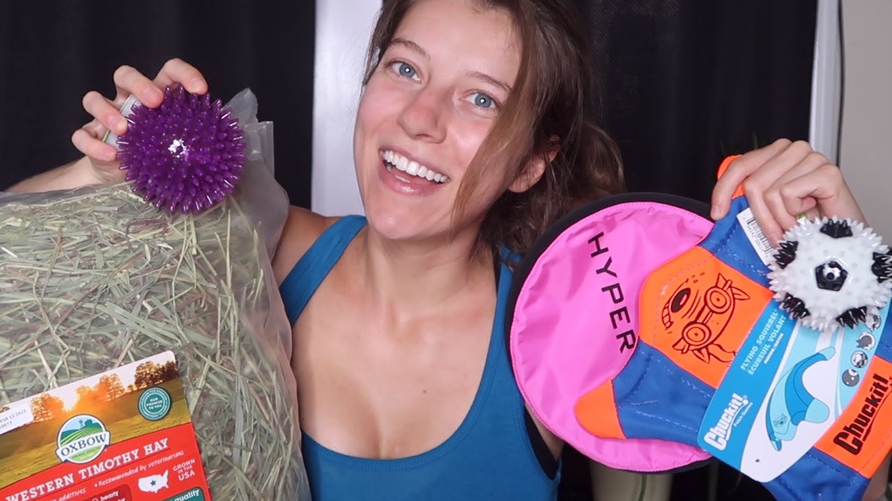 Puppy Toy Haul from Chewy and Amazon! | Ohcluck