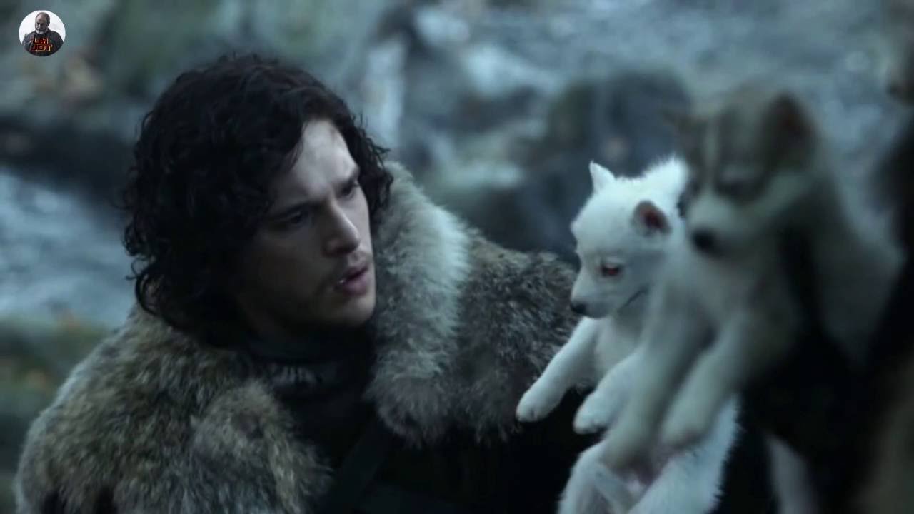 La familia Stark se encuentra con los lobos huargo -