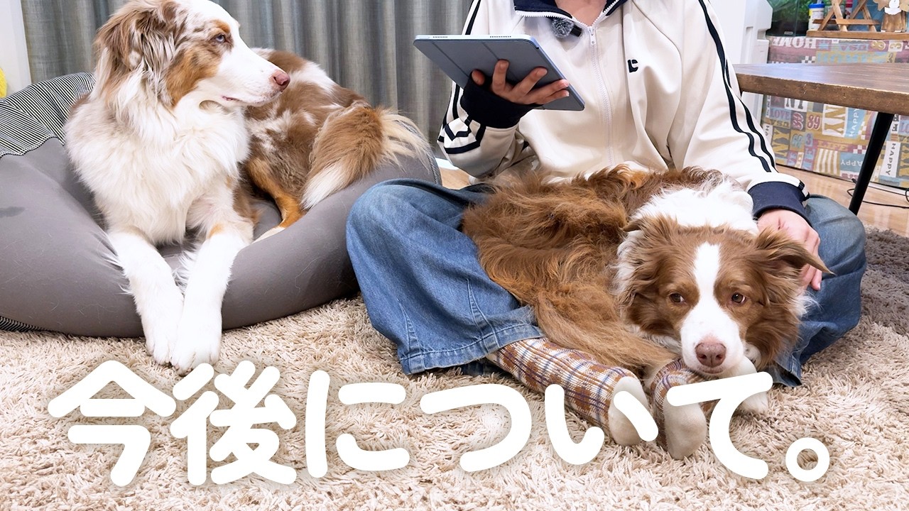 【ご報告】総合健康診断でリーちゃんに病気が見つかったので症状と今後の活動についてお話します。