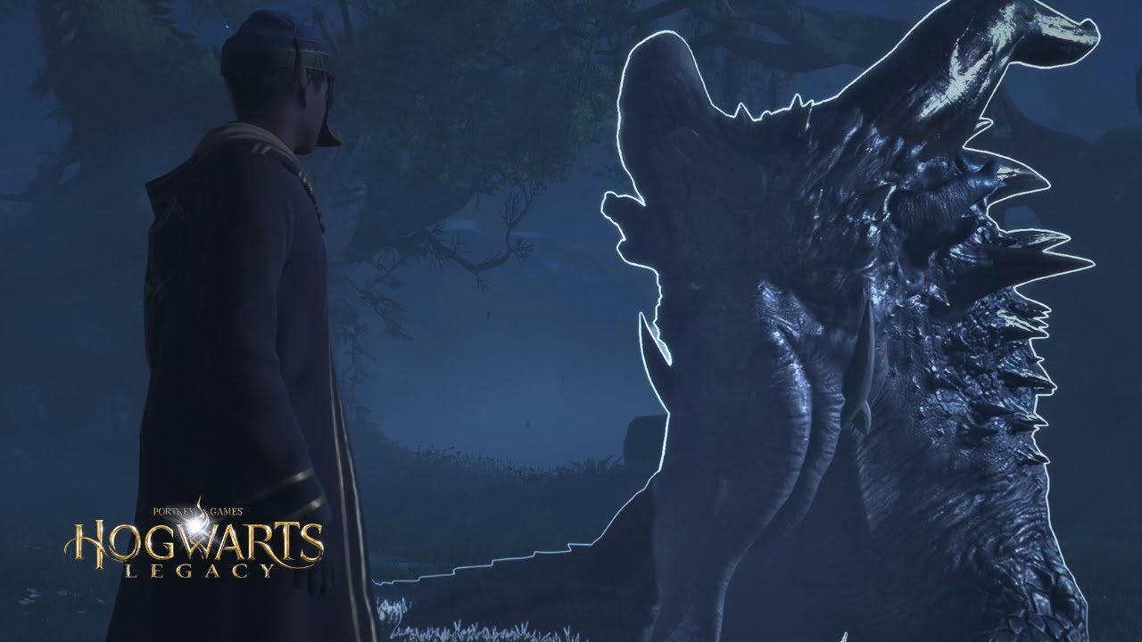 Hogwarts Legacy- I Captured a Fantastic Beast