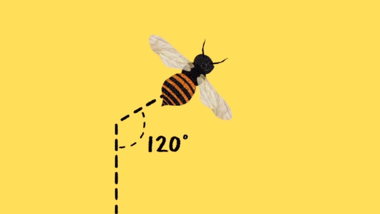 Por que as ABELHAS fazem FAVO em forma de hexágono?
