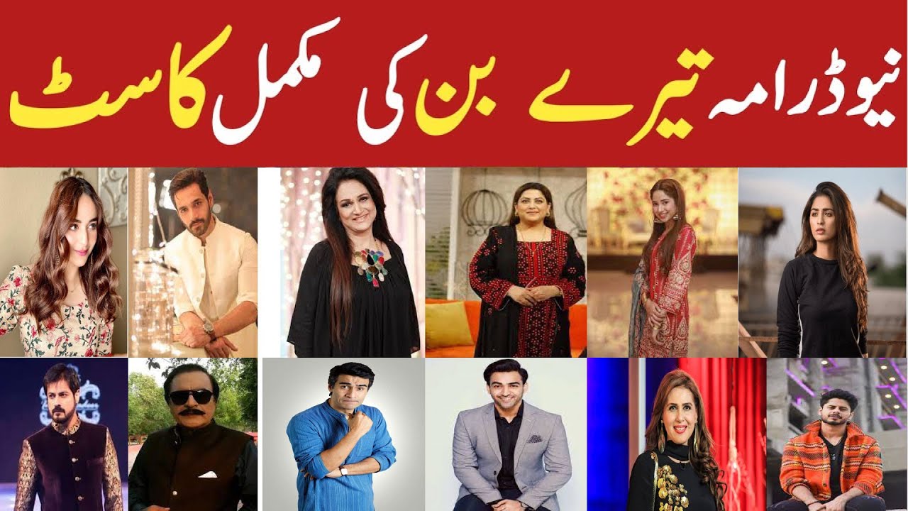 Tere Bin Cast - Real Name - Yumna Zaidi - Wahaj Ali -  | Drama shorts stories