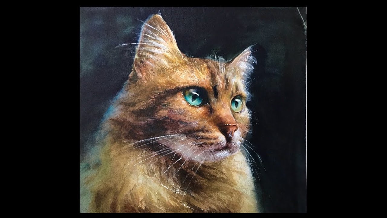 Акварельная живопись кота