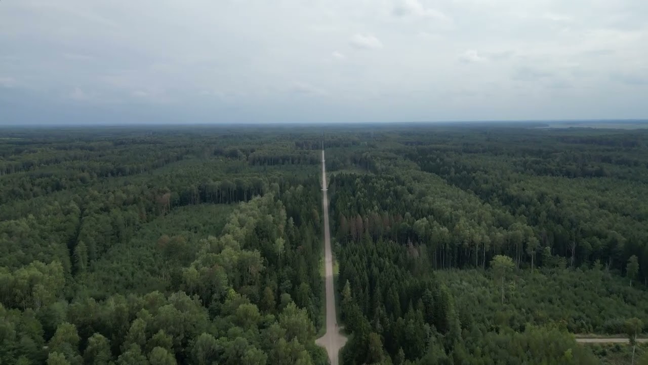 4S - 🇱🇹 Biržai / Biržų (forêt)