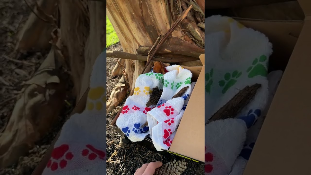 to jest Batrice pod koniec wczorajszego dnia