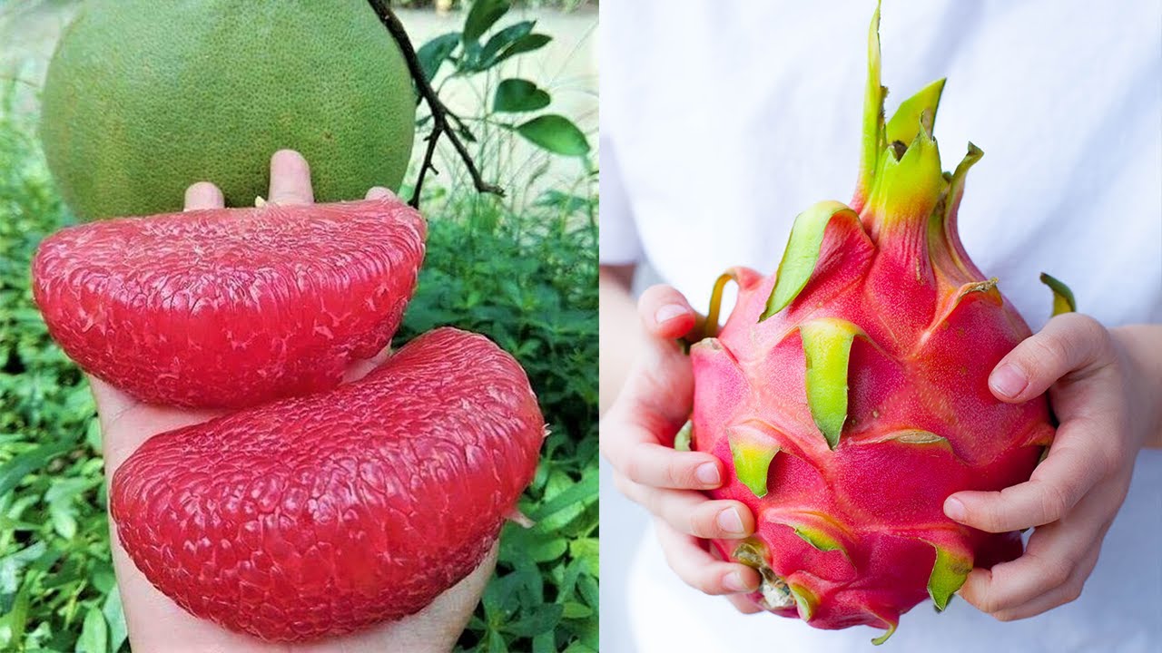 15 Exotic Fruits You Won't Believe Actually Exist