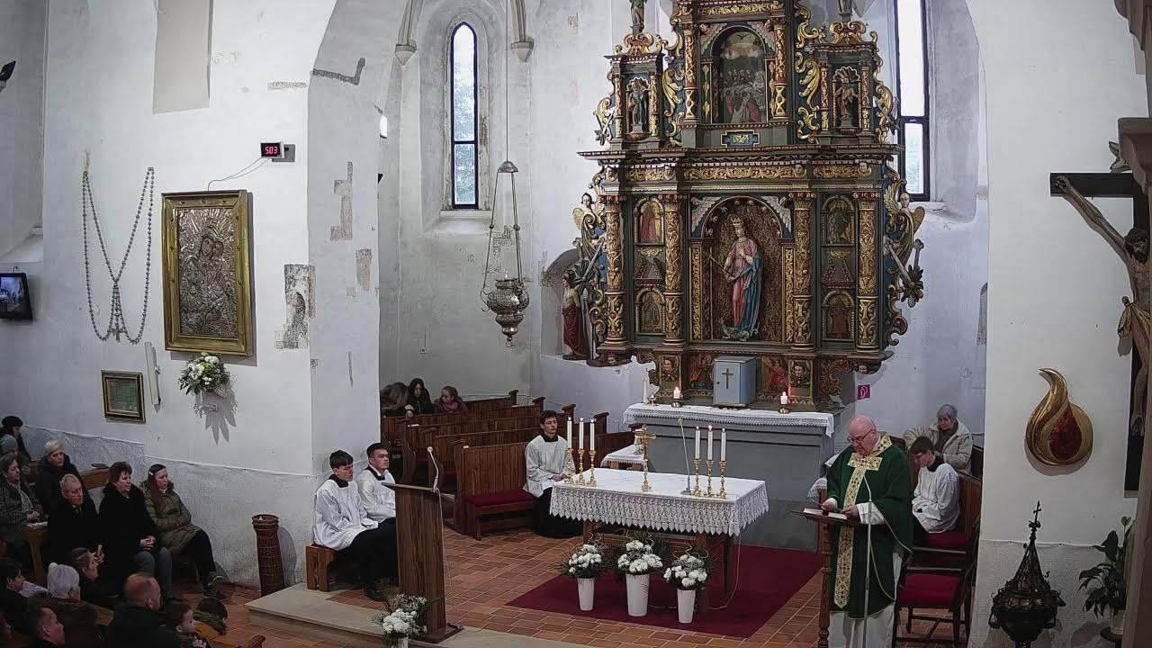 5. nedeľa v cezročnom období, Zborov 8.2.2026