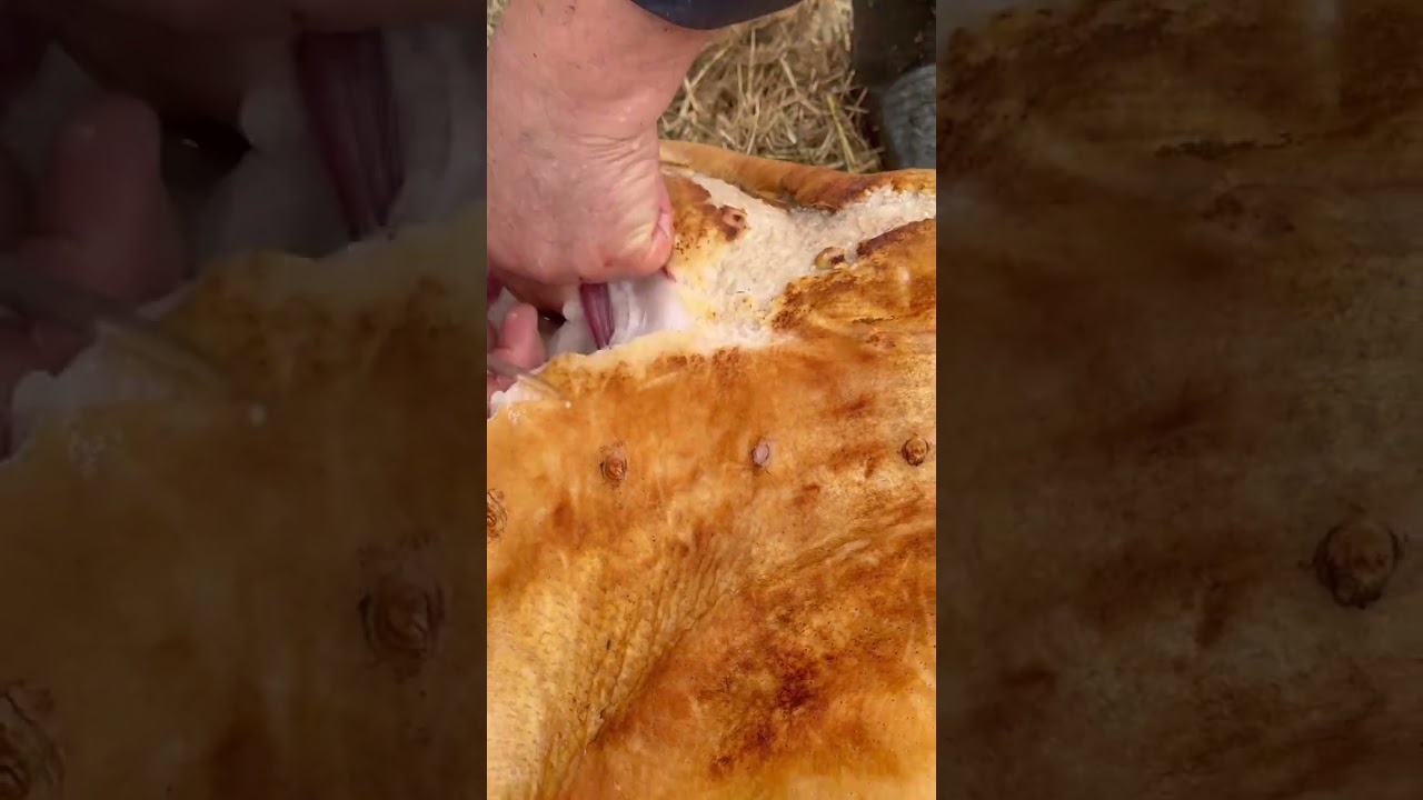 Супер робота майстра гострим ножем .