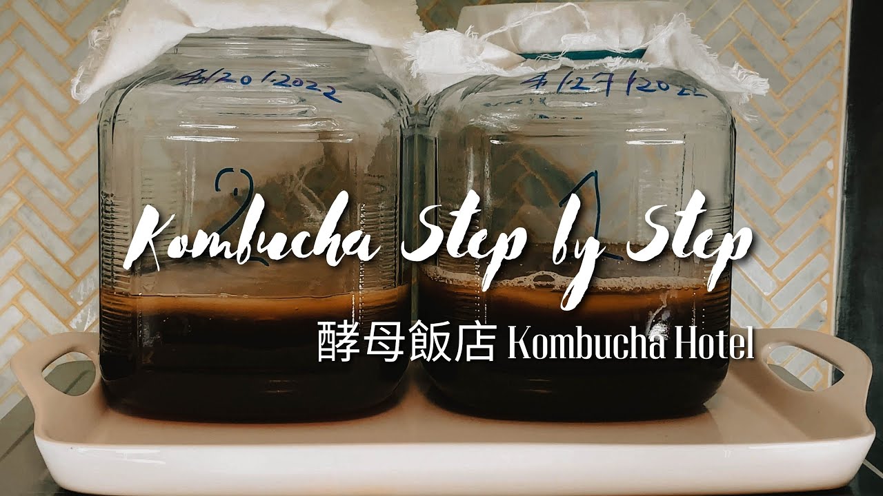 How to Make Herbal Kombucha Tea  (2) -  Kombucha Starter Tea Scoby Hotel