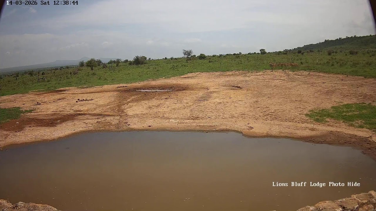 Lions Bluff Lodge Photo Hide - Live Stream