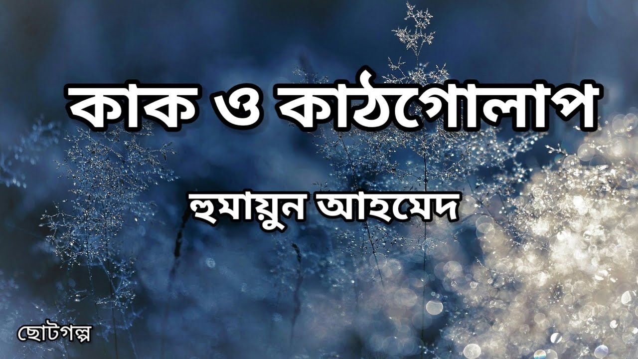 কাক ও কাঠগোলাপ । হুমায়ুন আহমেদ। Humayun Ahmed। Bangla Audiobook। Humayun ChotoGolpo। Humayun Story। 
