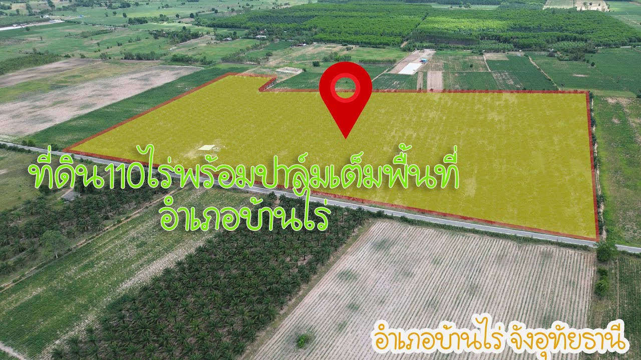 ep118ที่ดิน 110 ไร่3งานอำเภอบ้านไร่จังหวัดอุทัยธานีขายพร้อมต้นปาล์มเต็มพื้นที่