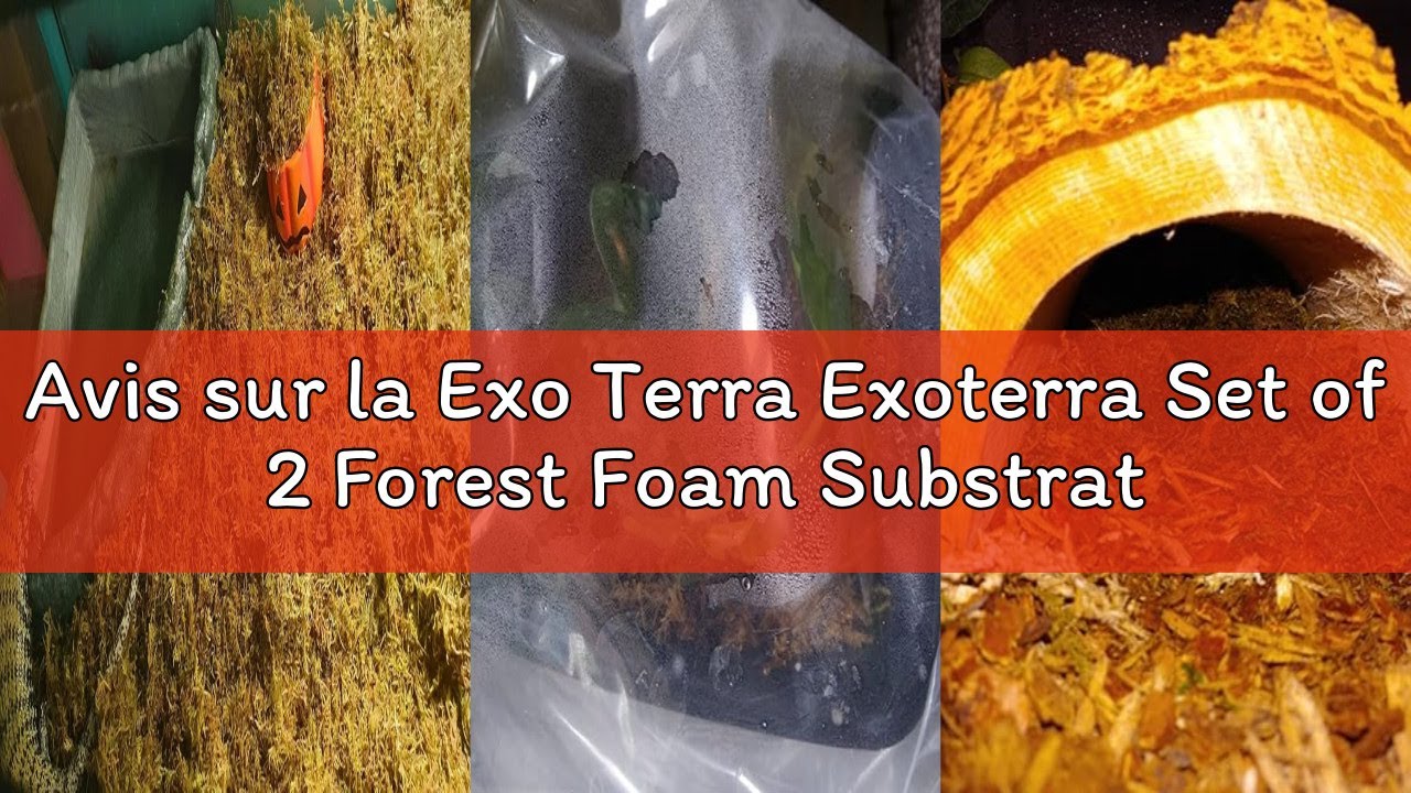 Avis sur la Exo Terra Exoterra Set of 2 Forest Foam Substrates for Reptile/Amphibian 7 L
