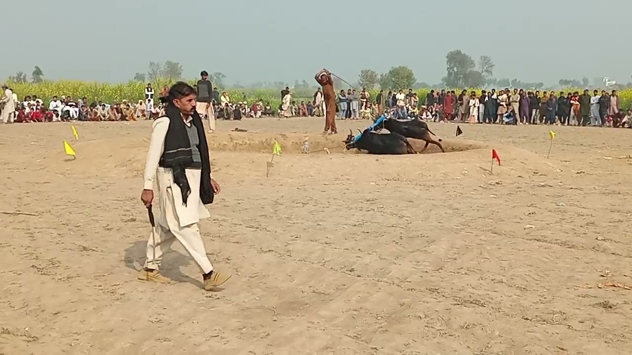 آندری داند لاڈلہ باری ملنگاہ شیر بلوچاں آلہ ملکیتی غلام بلوچ عرفان  فوجی بلوچ غفور بلوچ  ینگ پور 