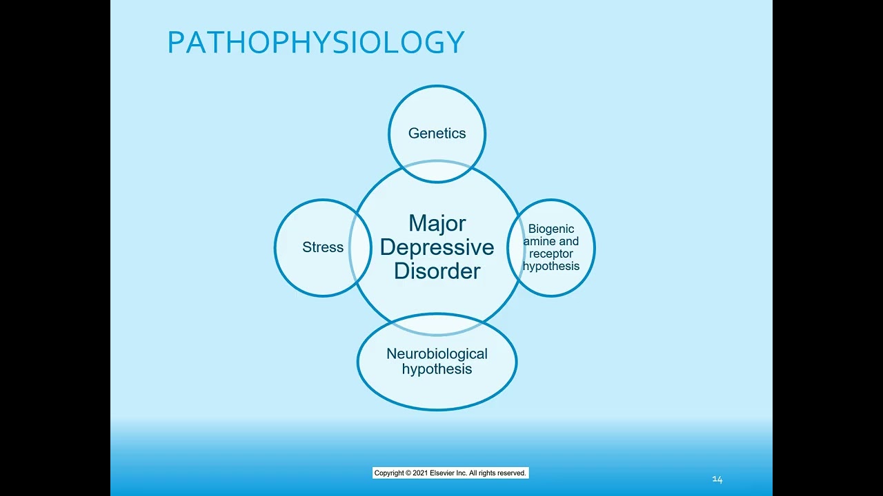 Mental Health Disorder for the APRN