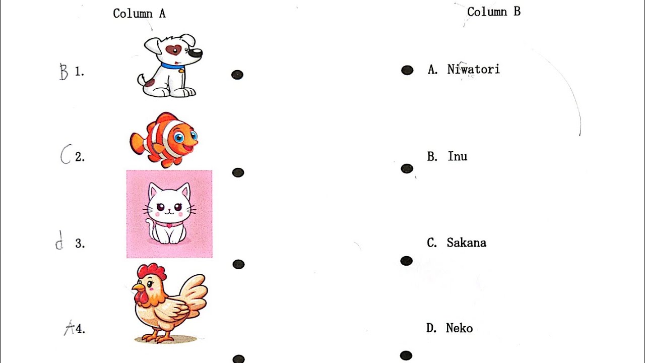 NIHONGGO Activity Answering | Summer Han