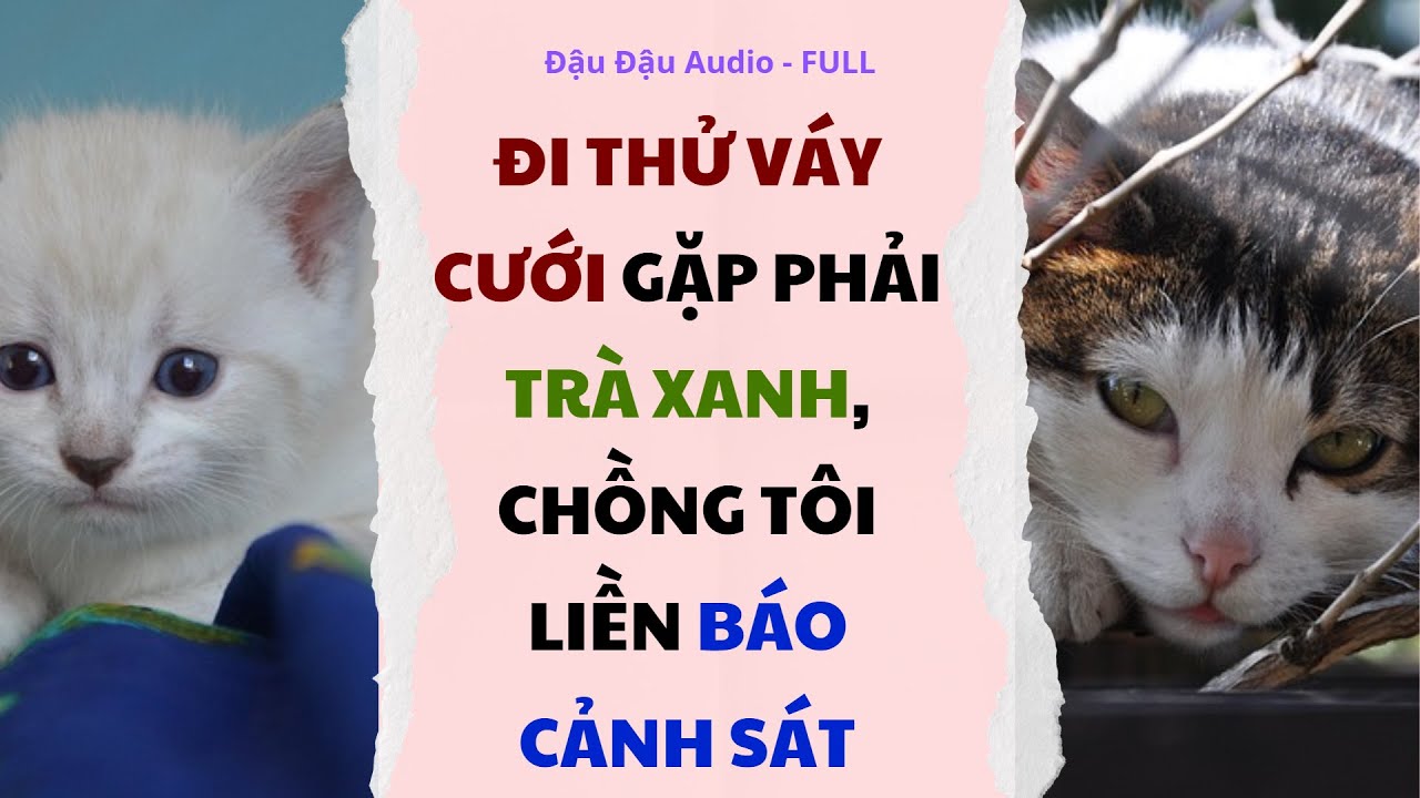 ĐI THỬ VÁY CƯỚI GẶP PHẢI TRÀ XANH, CHỒNG TÔI LIỀN BÁO CẢNH SÁT - full - Truyện hay audio