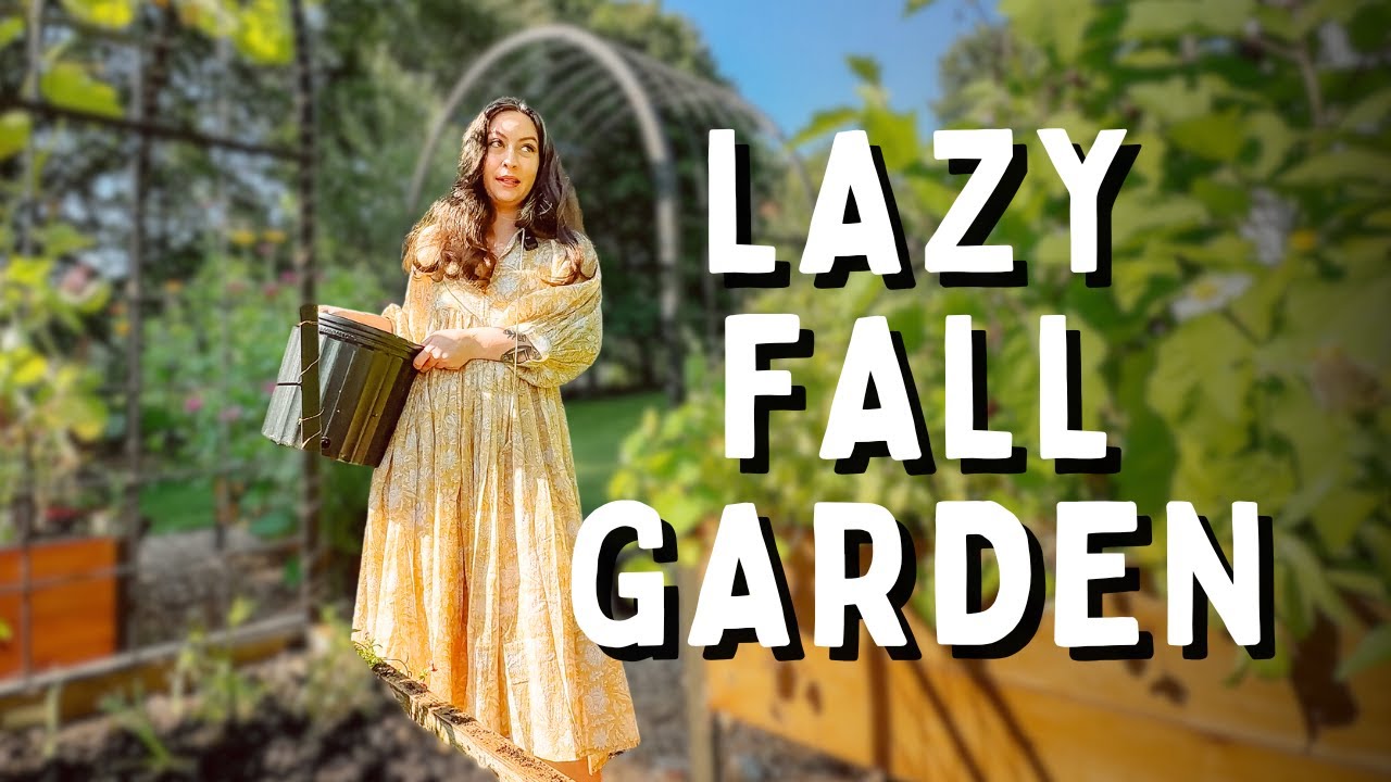 I Almost Didn't Plant My Fall Garden.... Fall Vegetable Garden Planting