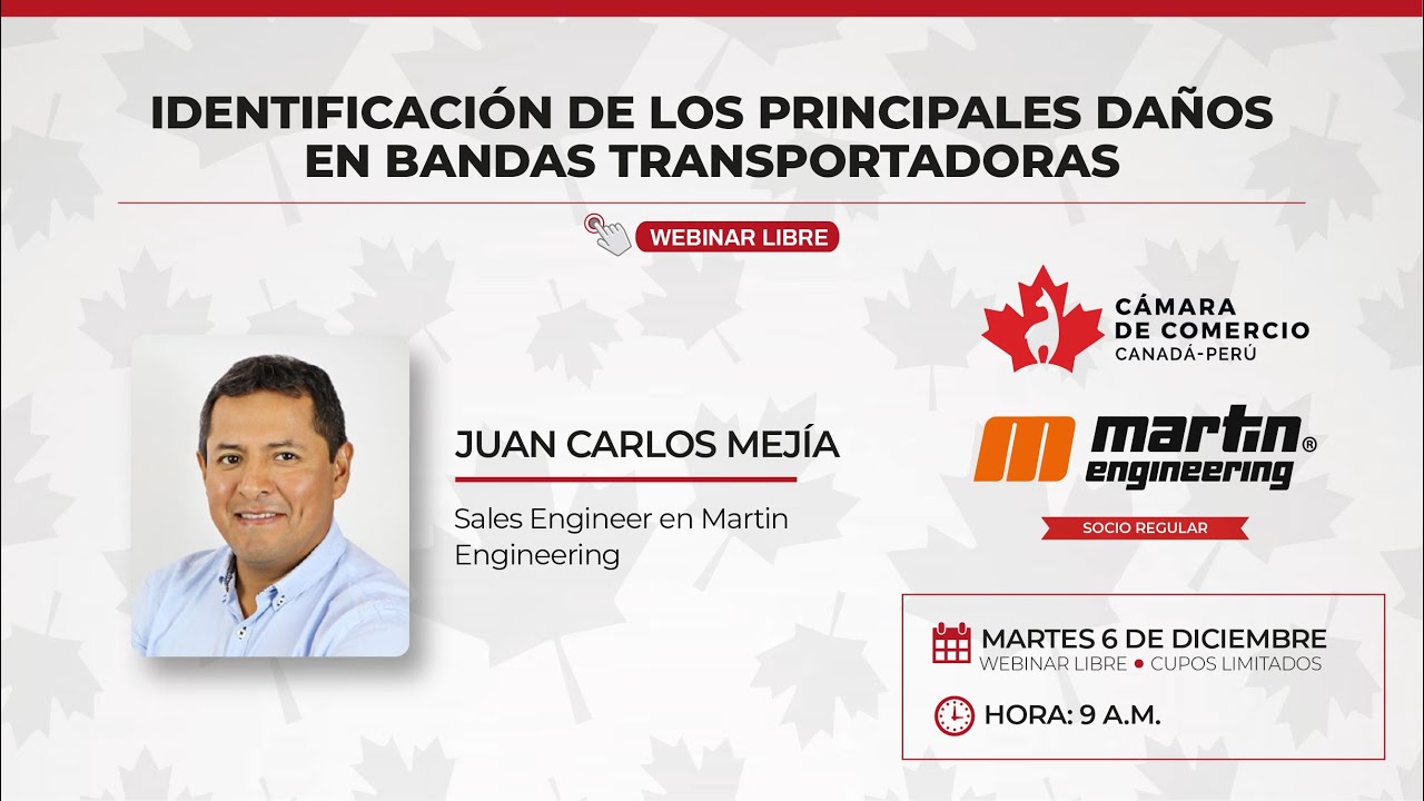 IDENTIFICACIÓN DE LOS PRINCIPALES DAÑOS EN BANDAS TRANSPORTADORAS