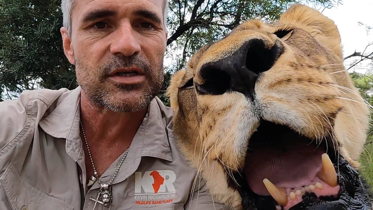 Marvellous Meg the Lioness | The Lion Whisperer