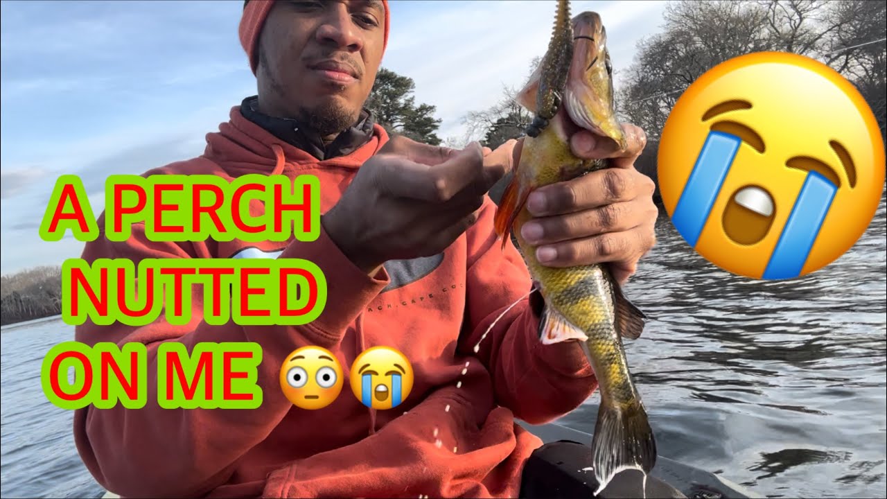 I GOT NUTTED ON BY A PERCH 😭 Bass fishing cape cod massachusetts (MUST WATCH) #bassfishing #fishing
