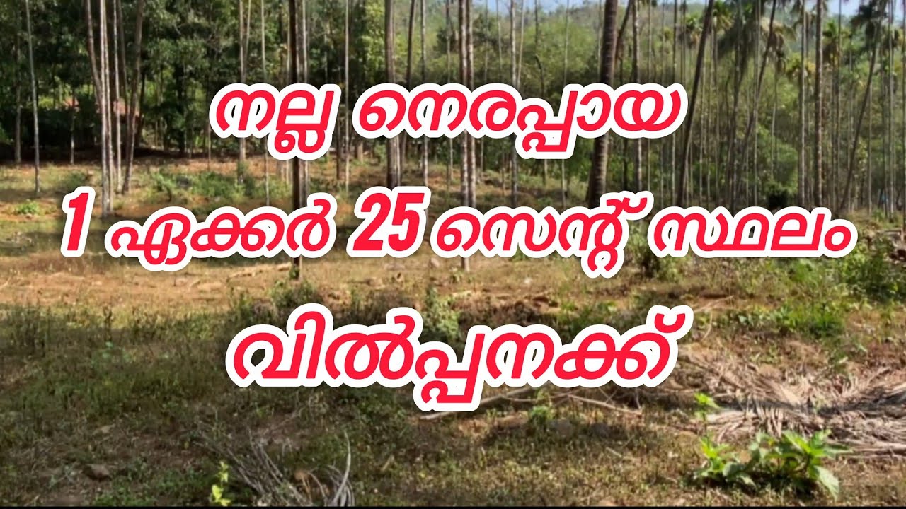 1 ഏക്കർ 25 സെന്റ് വിൽപ്പനക്ക് #vairal #kerala #keralaproperty #realestatekerala #land #kannur 