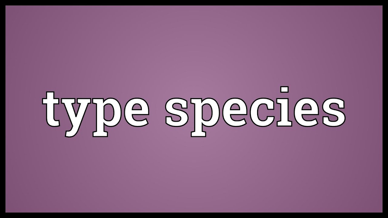 Type species Meaning