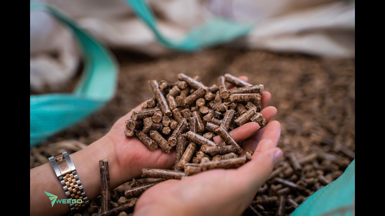 WEEGO - Vietnam Biomass Wood Pellet Production Process