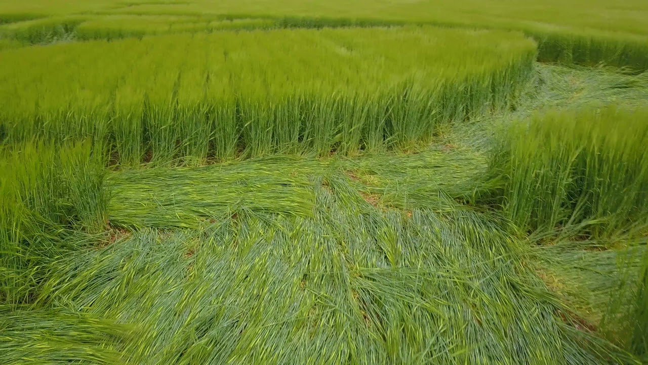 Winterbourne Stoke Down CROP CIRCLE 17.6.2018 4K