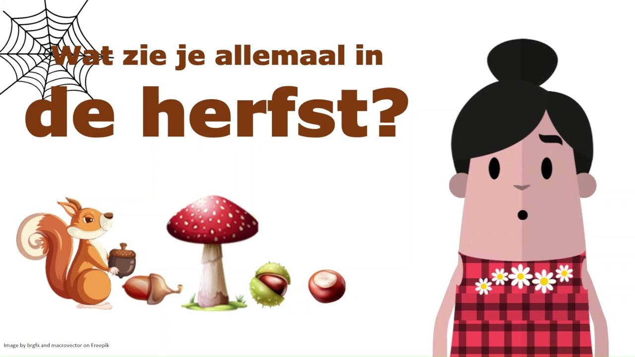 De herfst -  het bos - educatief kinderfilmpje 🌳🐿🍄🍄🍄🍄🍄🕷🌰