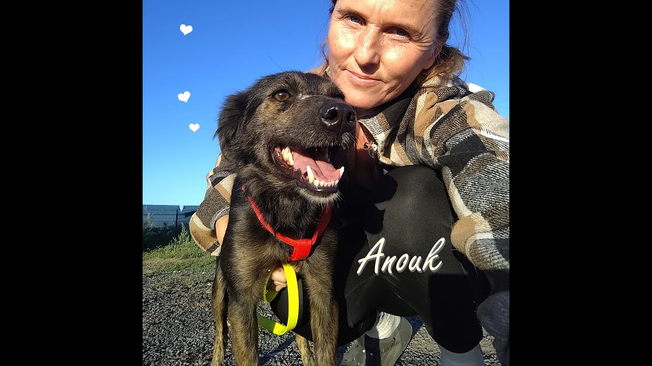 ❤️Anouk hat ihr Zuhause gefunden !