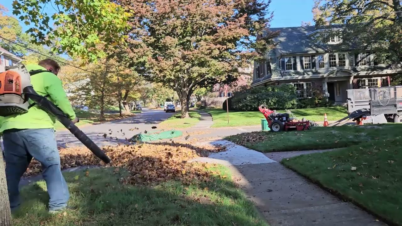 One Man Leaf Cleanup Tarp Hack