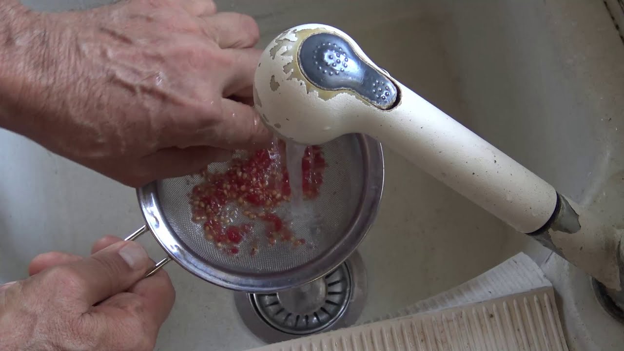 COME PRENDERE E CONSERVARE I SEMI DEI POMODORI. CORSO DI ORTICOLTURA SOSTENIBILE (33)