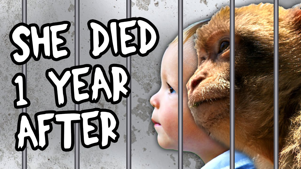 The Most DISTURBING Human Experiment