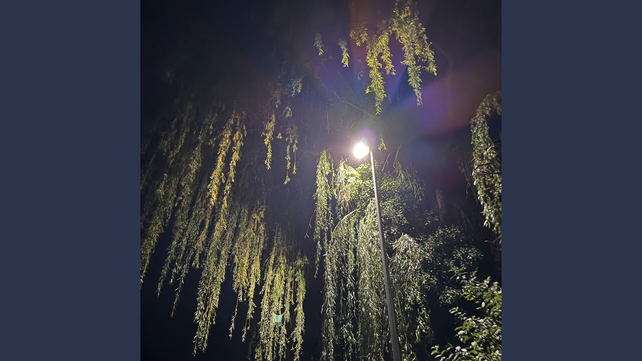 tusz