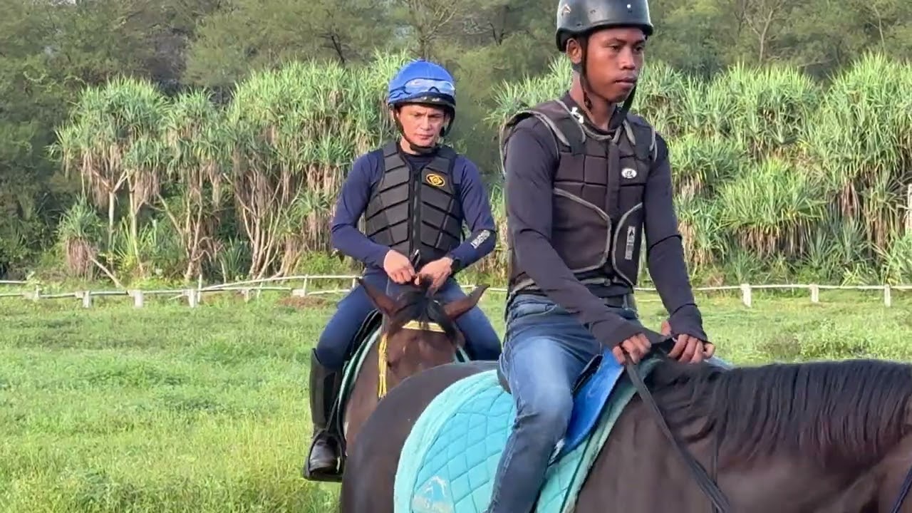 Kinghalim stable