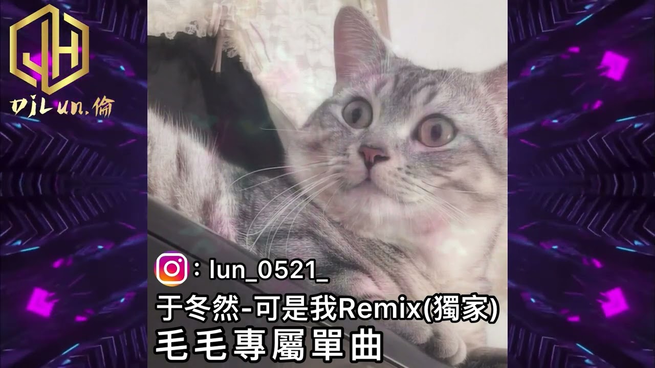 DJ Lun獨家 于冬然-可是我 Remix 毛毛專屬單曲 -2023《VIP特別訂製版》