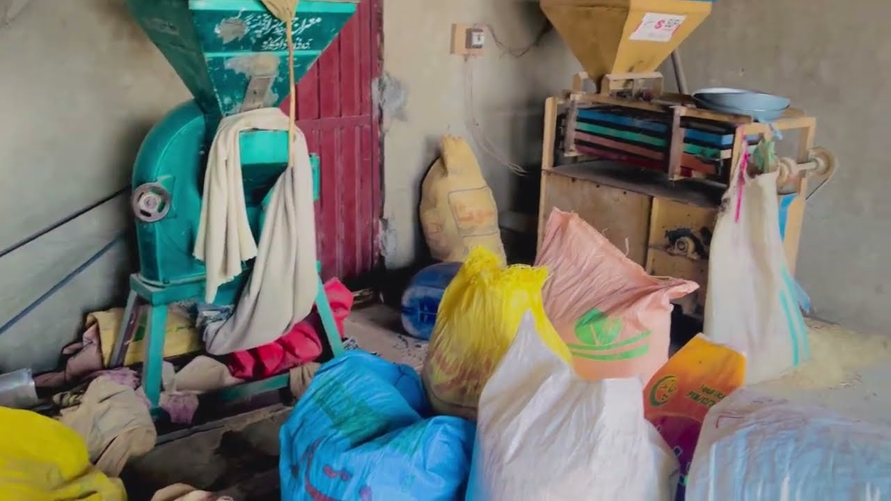 How Wheat Is Ground Into Flour | Inside Pakistan’s Green Disk Flour Mill