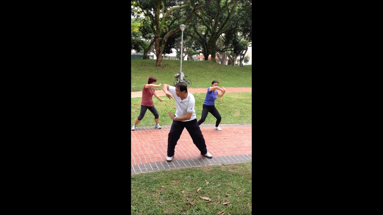 Qigong Master Dennis Wang